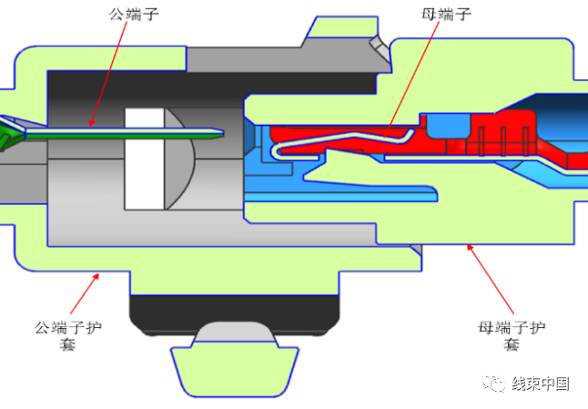 qw5.jpg